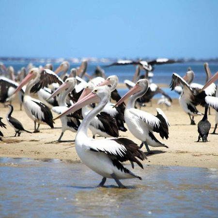 Appartamento The Hutt On Mandurah Marina Esterno foto